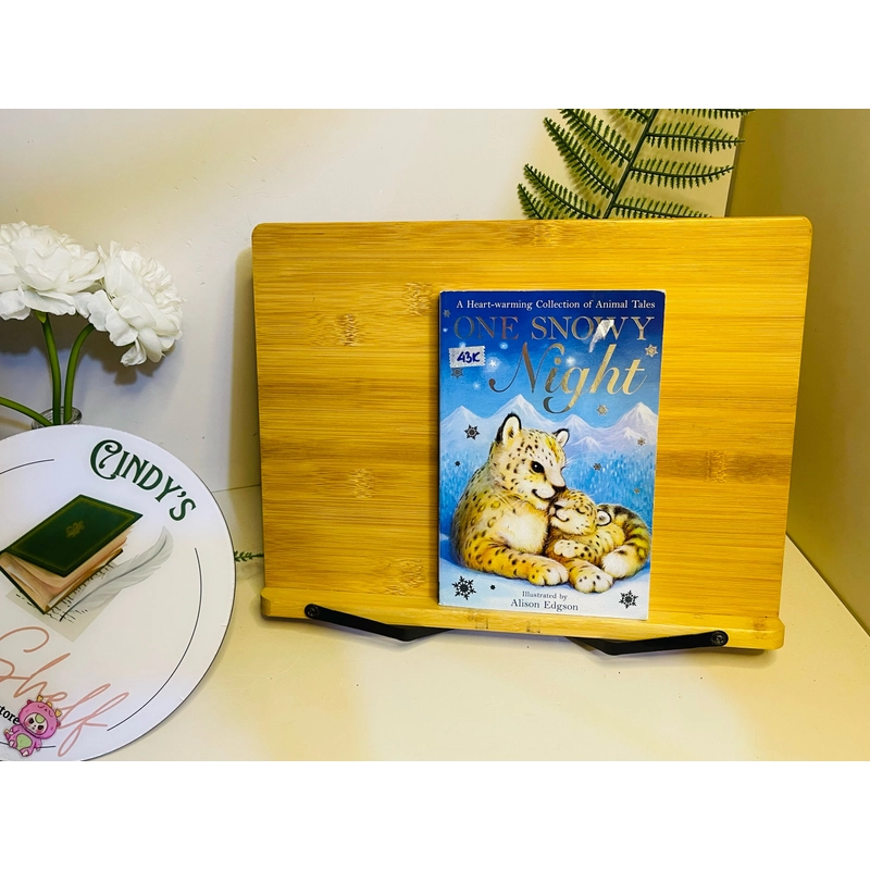[Sách tiếng Anh 2hand] Like new 90% - One Snowy Night – Alison Edgson 531299