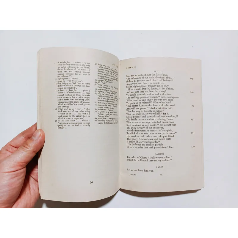 New Swan Shakespeare - Julius Caesar 

 732838