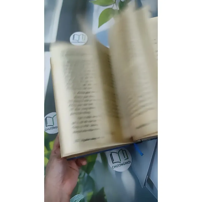 Nguồn Sáng Vô Tận - Thích Thái Hòa 990452