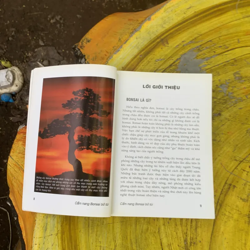 CẨM NANG BONSAI BỎ TÚI - DAVID PRESCOTT & COLIN LEWIS 759679