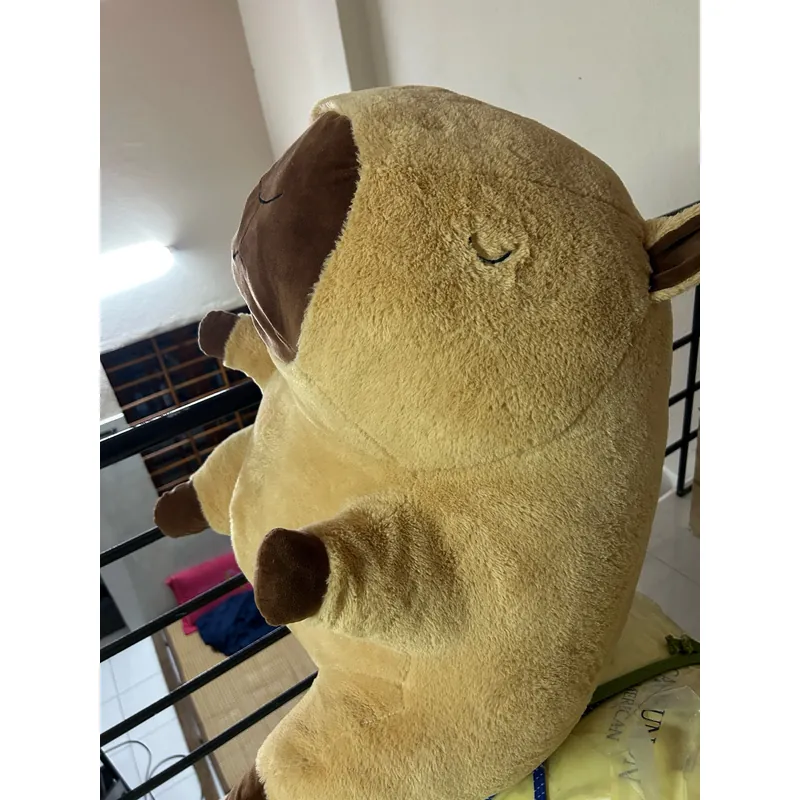 Gấu Capybara 1071716