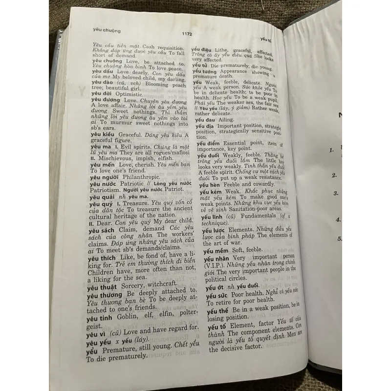 Từ điển Anh Việt- Viện Ngôn ngữ học  1000311