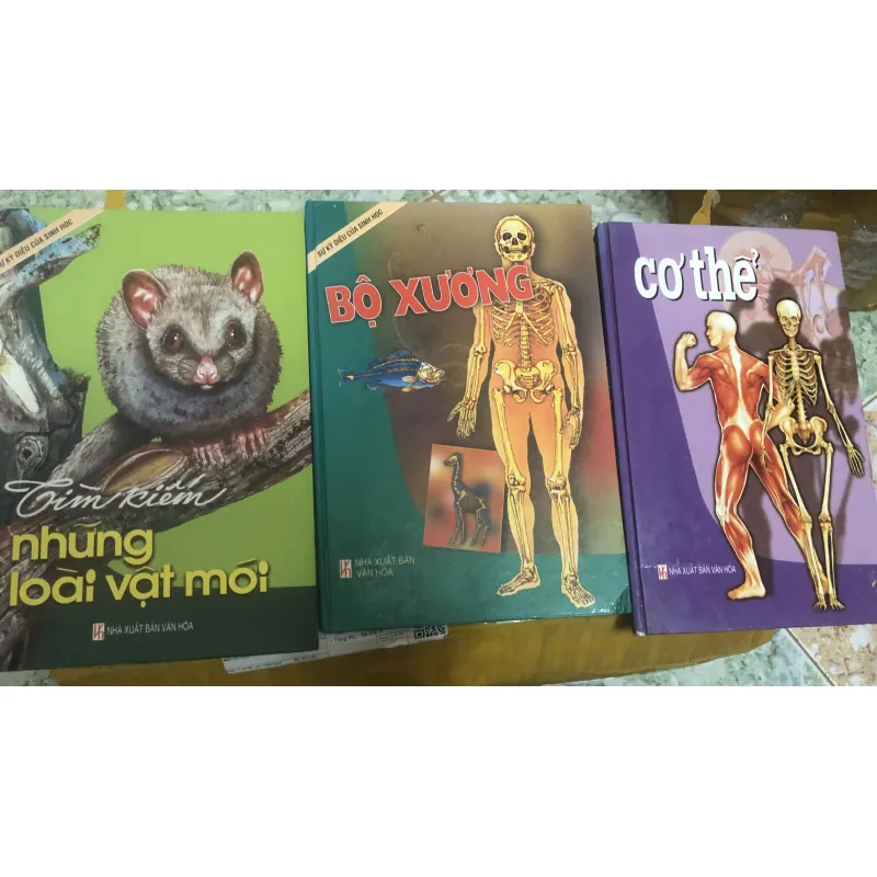 kiến thức tổng hợp bìa cứng in màu in 199x 784099