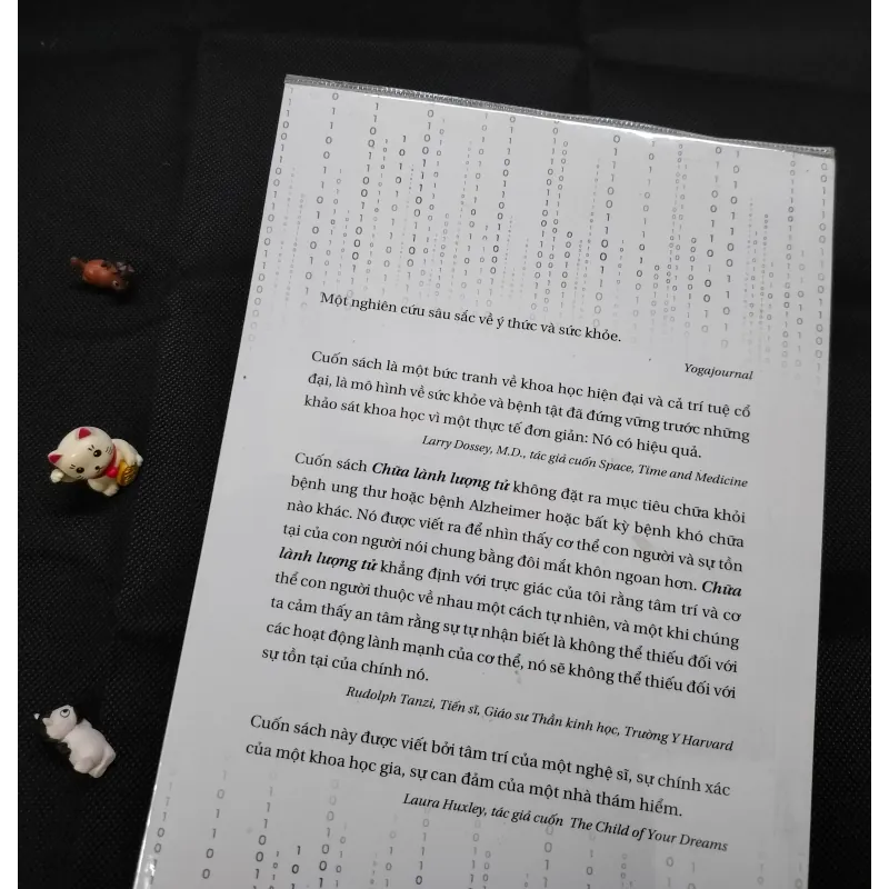 CHỮA LÀNH LƯỢNG TỬ - DEEPAK CHOPRA 1003652