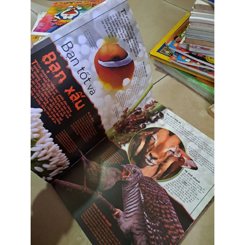 Quyển sách kỳ thú về động vật - mới 80% rách gáy - KHOA HỌC ĐỜI SỐNG - HCM0111 920819