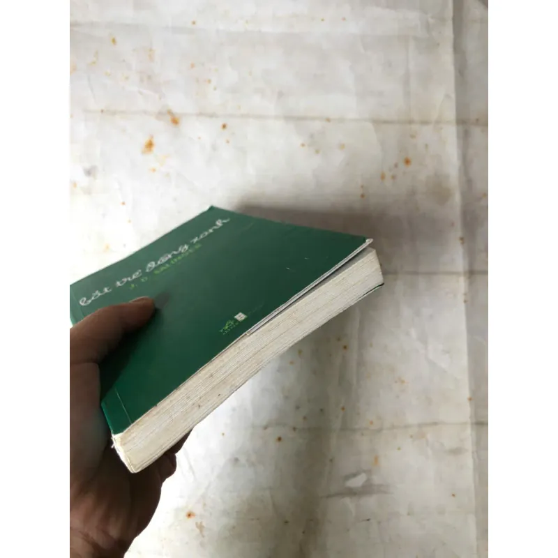 Bắt Trẻ Đồng Xanh - J. D. Salinger 900757