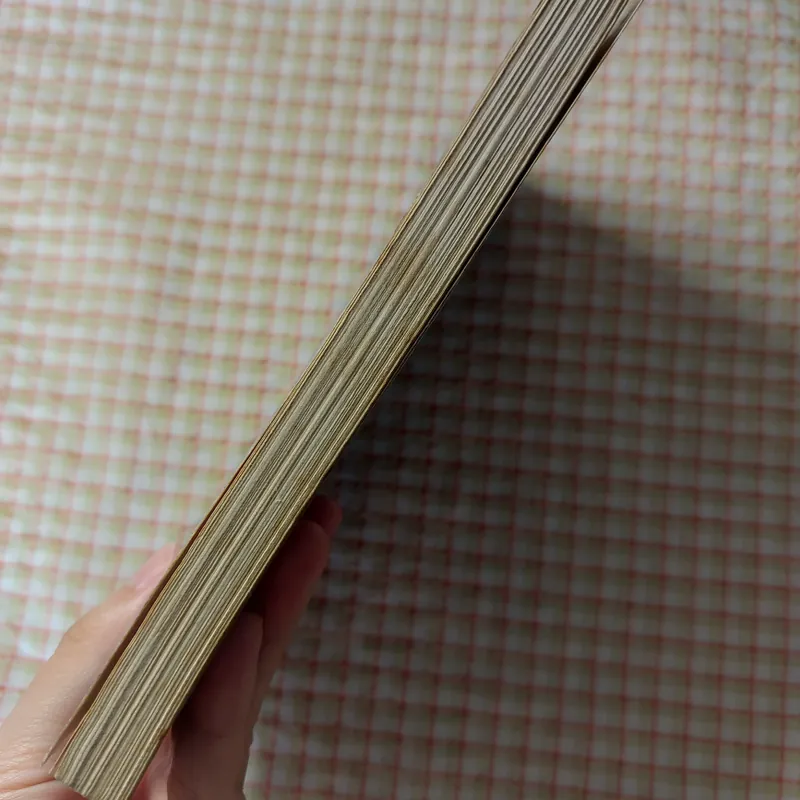 KỴ SĨ RỒNG - TẬP 2
✍️🏻 Correlia Funke 718482