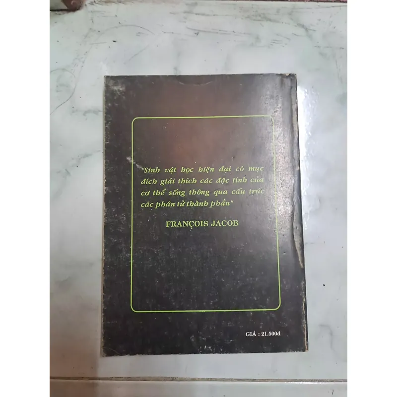 Sinh học phân tử Hồ Huỳnh Thùy Dương Nxbgd 2003 697156