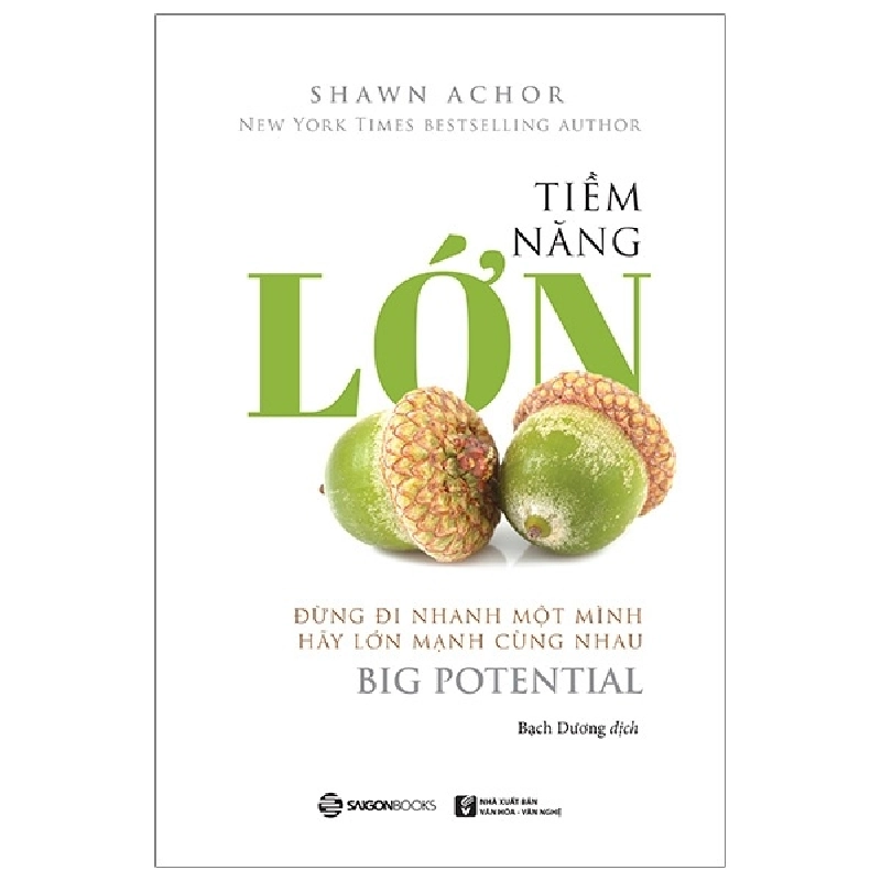 Tiềm Năng Lớn - Shawn Achor 296553