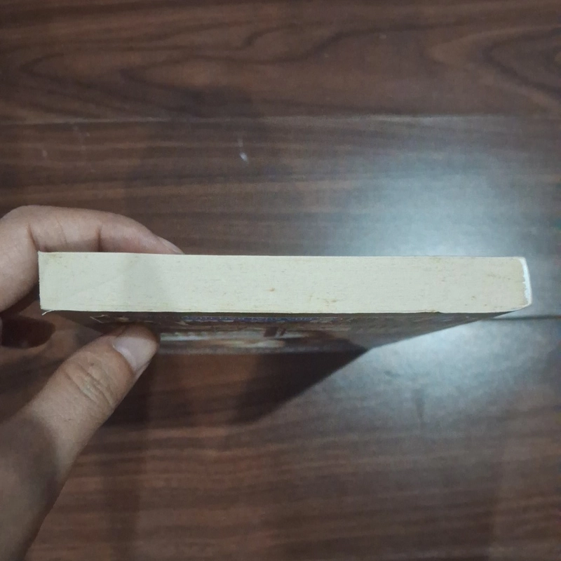 Chiếc vòng cổ bằng nhung - Alexander dumas 524069