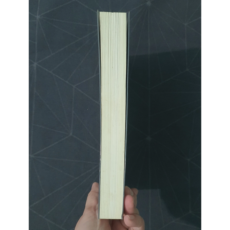 "Trăng sáng cố hương" - Lại Nhĩ 492903
