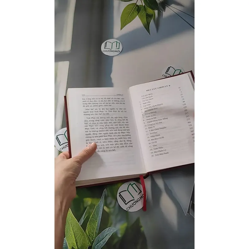 Chơn Lý 1 - Tổ Sư Minh Đăng Quang 990053