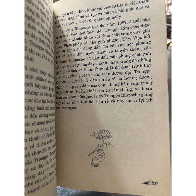 Trí tuệ mê cuồng - Chogyam Trungpa 1009754