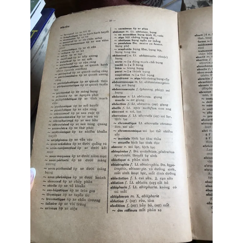 Từ điển y dược pháp việt  1006317