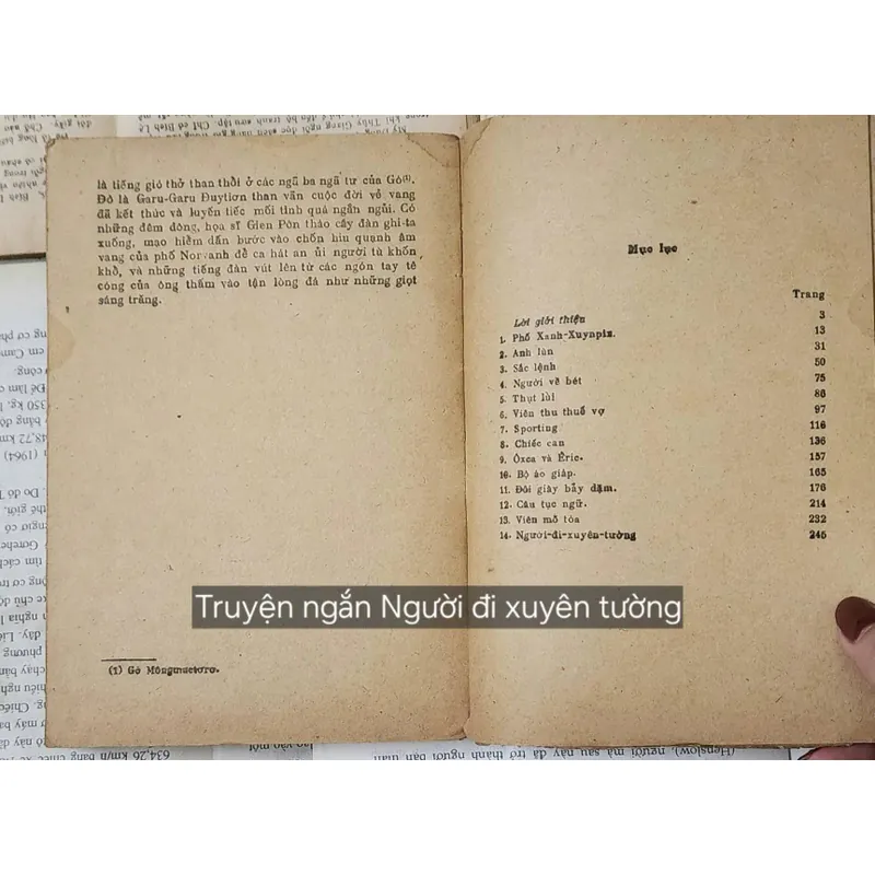 Truyện ngắn của tác giả Marcel Aymé - NGƯỜI ĐI XUYÊN TƯỜNG 711823