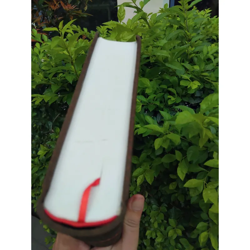 Leonardo Da Vinci của Walter Isaacson 972258