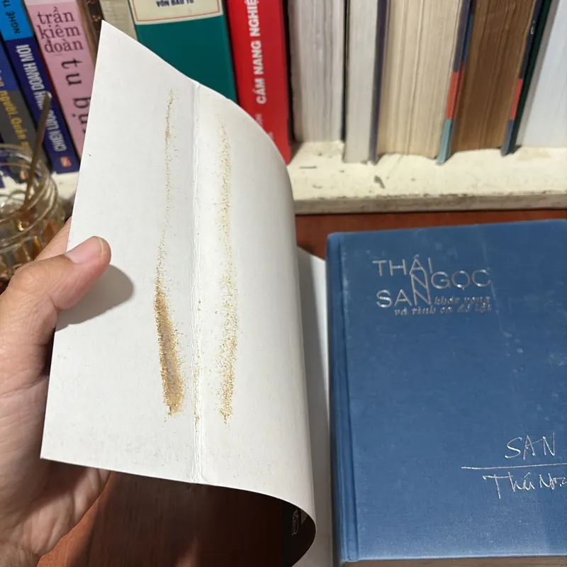 II Văn Học: Thái Ngọc San _ Khát Vọng Và Tình Ca Để Lại - 2005 739399