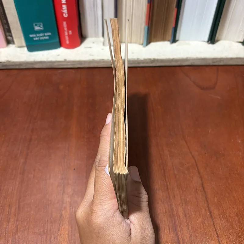 II Sách Phật Giáo: Kinh Pháp Bảo Đàn - Huệ Năng Lục Tổ - Trí Hải (Dịch) - 1998 734468