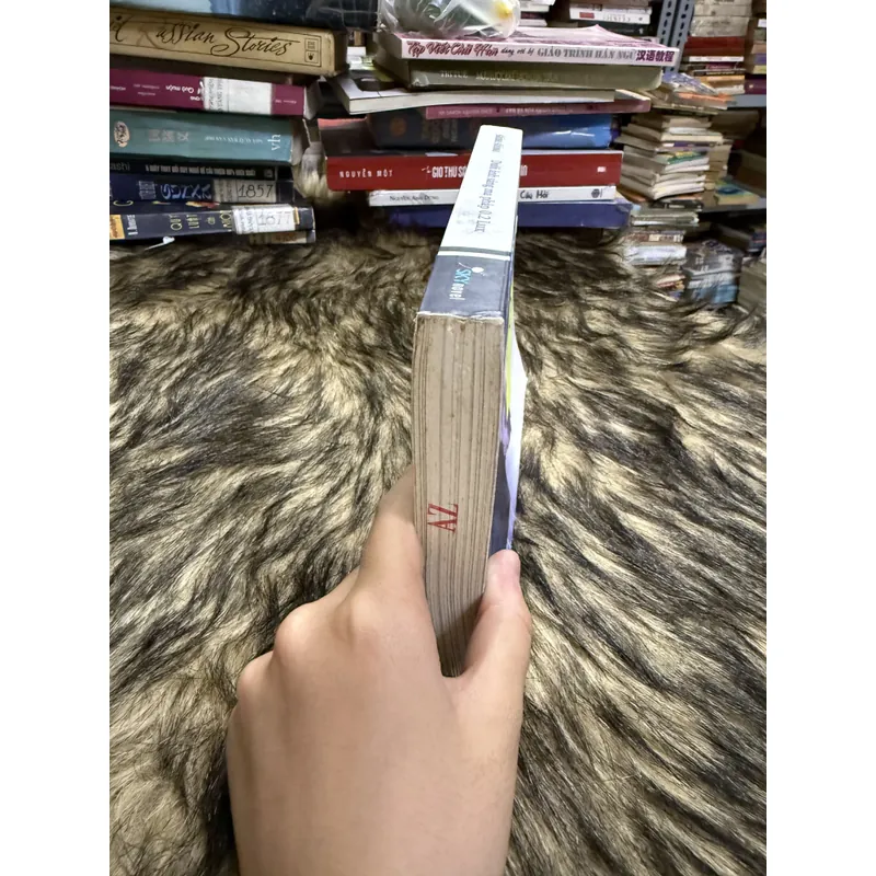 Dưới ánh sáng ma pháp  600815