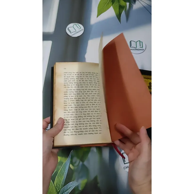 [MIỄN PHÍ BỌC SÁCH] Ăn Cơm Mới, Nói Chuyện Cũ: Hậu Giang - Ba Thắc - Vương Hồng Sển 990442