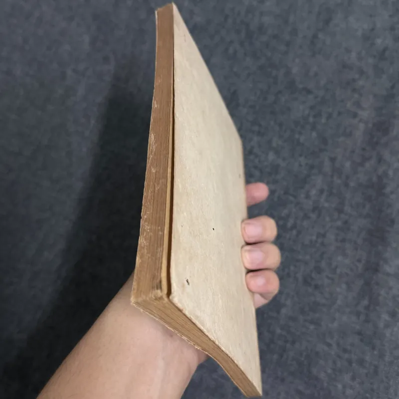 Đoàn cá mập sắt - Vân Ảnh 792054