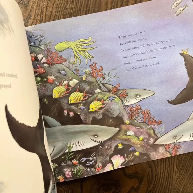 The Snail and the Whale 973751