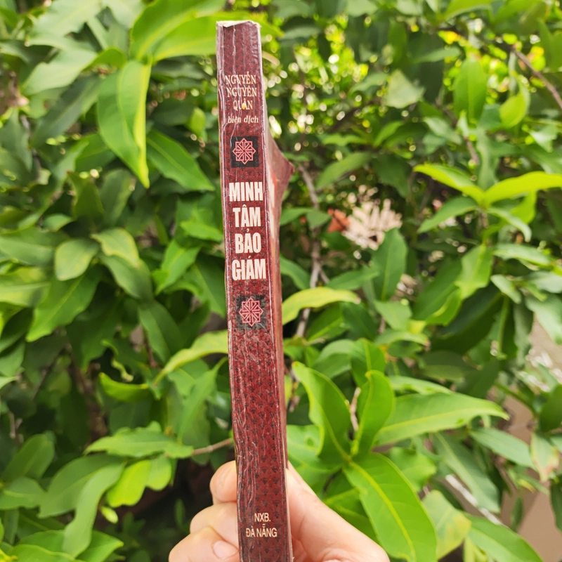 Minh Tâm Bảo Giám - Gương Sáng Soi Sáng Tâm Hồn - Nguyễn Nguyên Quân 525469