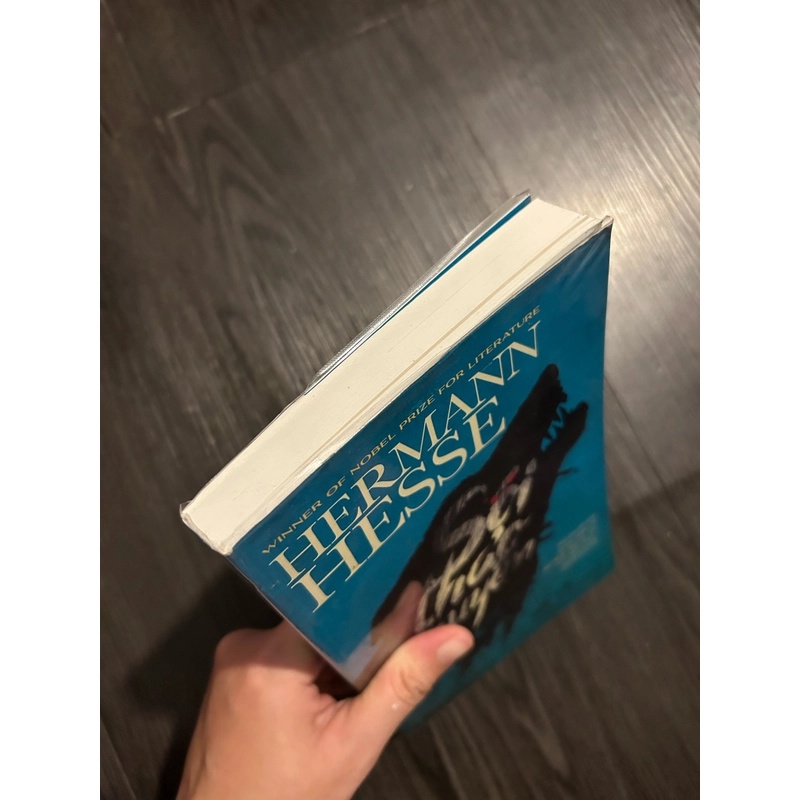 Sói thảo nguyên - Hermann Hesse 360196