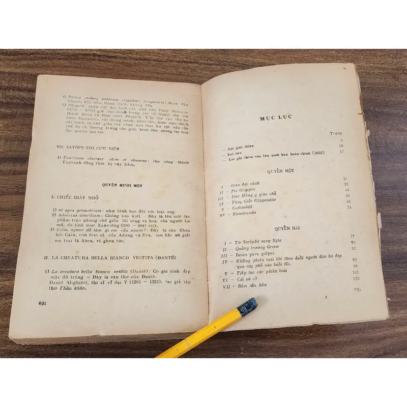 Tác phẩm VH kinh điển Pháp của Victor Hugo: NHÀ THỜ ĐỨC BÀ PARIS 731997