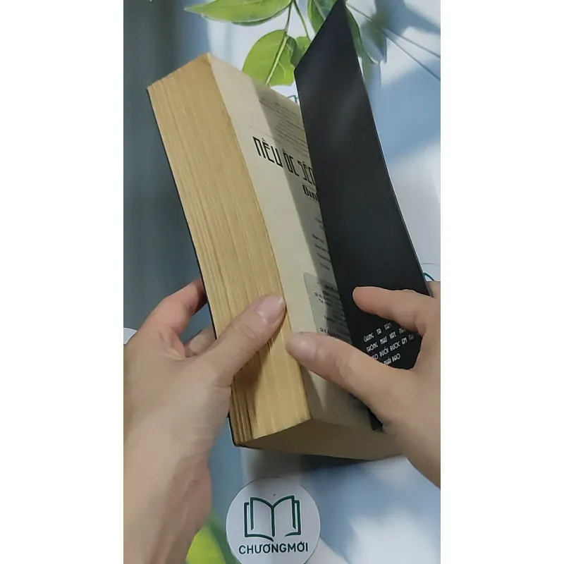 Nếu ốc sên có tình yêu - Đinh Mặc 688711