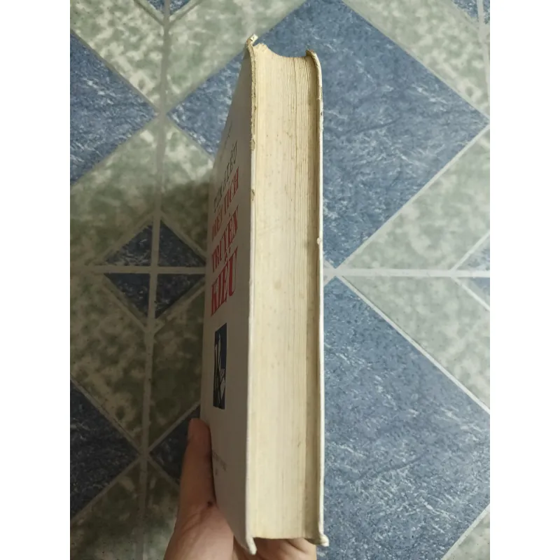 Tìm hiểu điển tích truyện Kiều - Phạm Đan Quế 564831