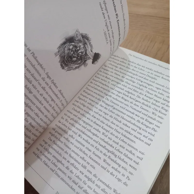 Das kleine handbuch des stoizismus - Jonas Salzgeber 674501