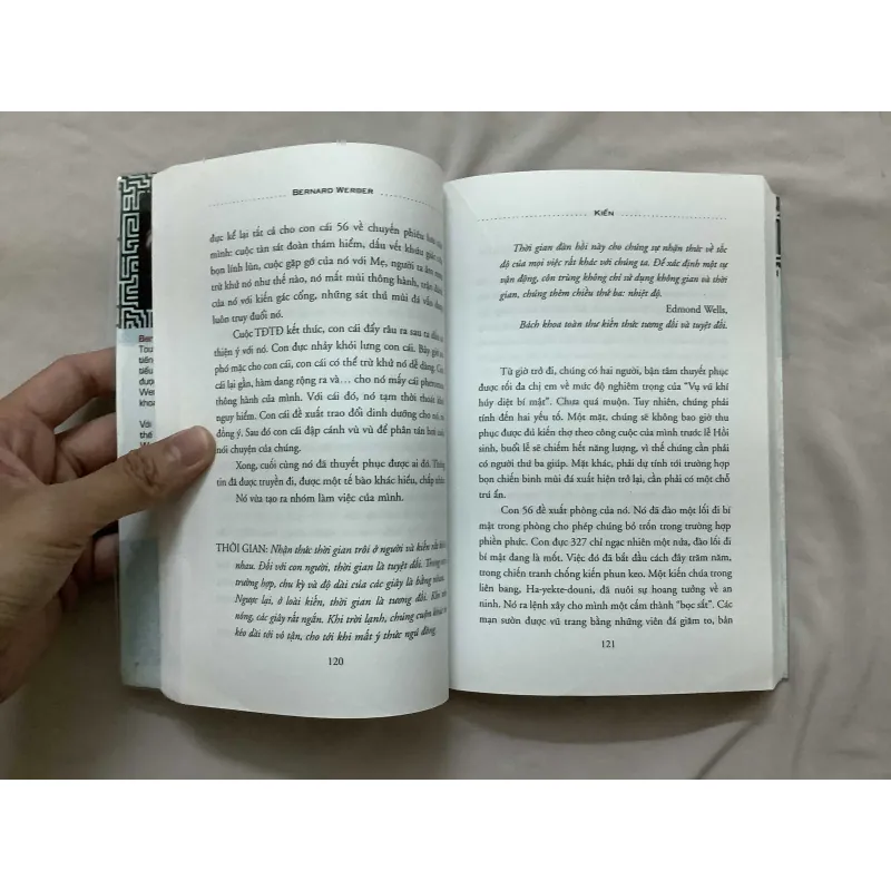 Kiến - Cách Mạng Kiến 595716