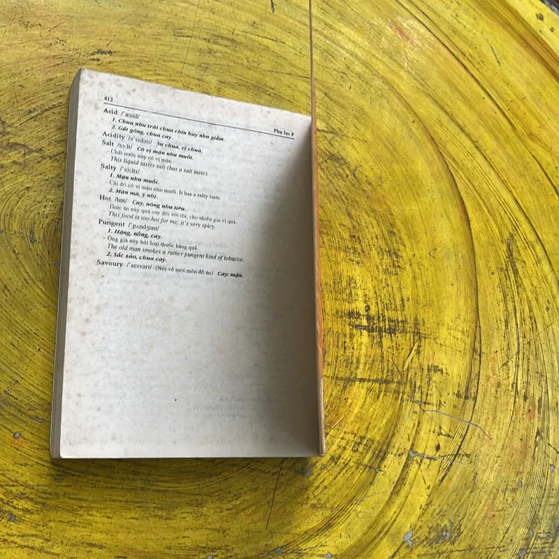 TỪ ĐIỂN Y HỌC ANH ANH VIỆT- LÂM PHƯƠNG THẢO 603157