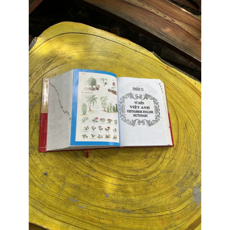 TỪ ĐIỂN ANH - VIỆT - VIỆT ANH- BAN BIÊN SOẠN CHUYÊN TỪ ĐIỂN NEW ERA 603684