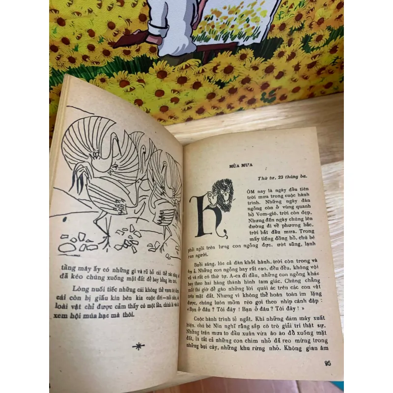 Cuộc Du Lịch Kỳ Diệu Của Nin Hơ-Gớc-Xơn - Selma Lagerlöf 926222