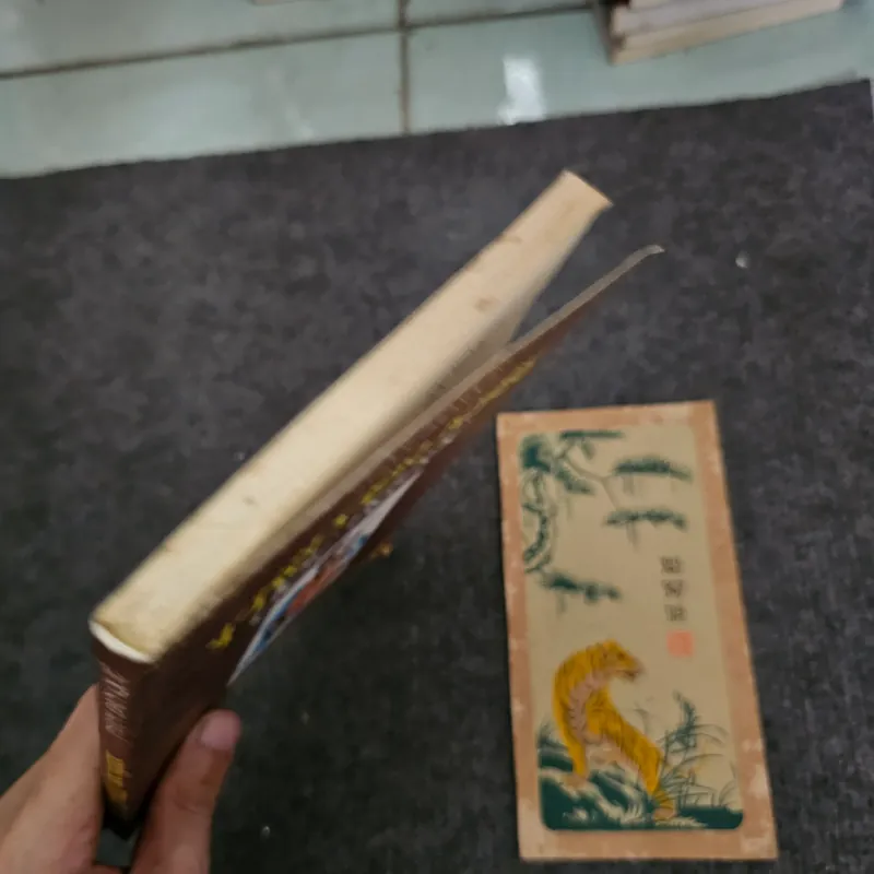 Truyện kiều đọc ngược - Phan đan quế 736985