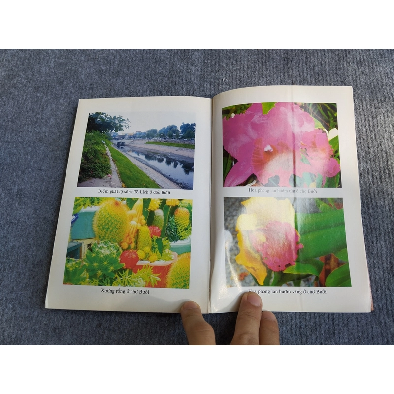 SẮC ĐẸP KHUYNH THÀNH (TRẦN THỊ) PHẦN I: BA LẦN VỀ THĂNG LONG - KIỀU THANH TÙNG 548176