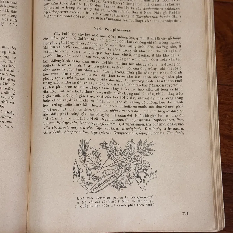 [sách quý] Những Họ Thực Vật Có Hoa (1975) 931249