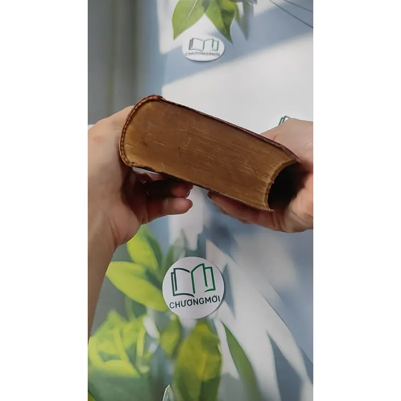 [MIỄN PHÍ BỌC SÁCH] Từ Điển Việt Hán Tối Tân 749407