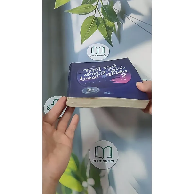 Tuổi trẻ đáng giá bao nhiêu - Rosie Nguyễn 688538