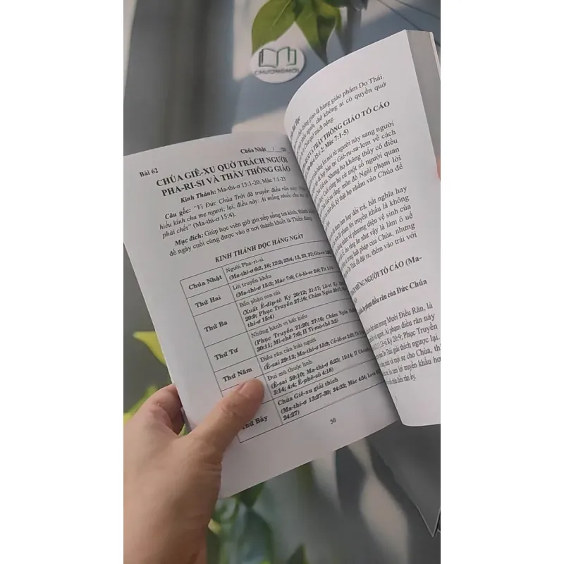 Bài Học Trường Chúa Nhật: Bốn Sách Phúc Âm - Học Viên 3 928515