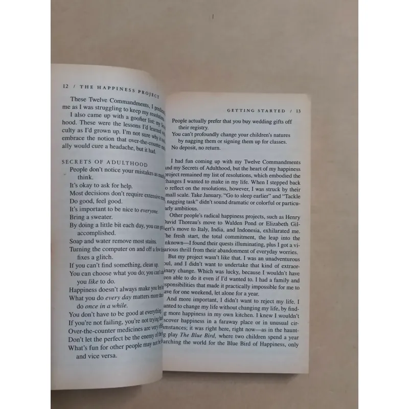 The Happiness Project - Gretchen Rubin 990307