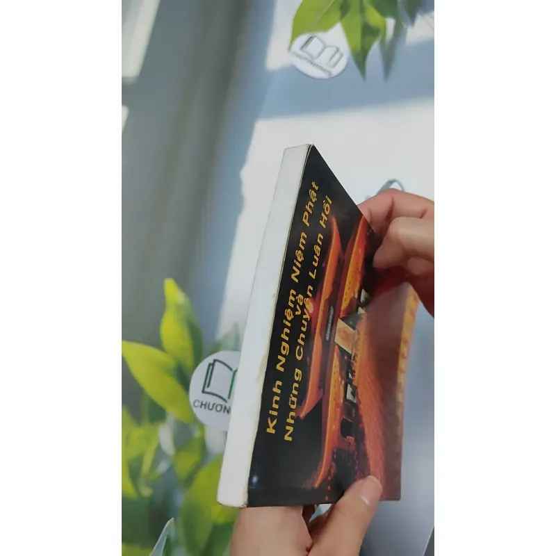 Kinh Nghiệm Niệm Phật Và Những Chuyện Luân Hồi - Cư Sĩ Diệu Âm - Diệu Ngộ 776139