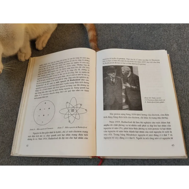 NĂNG LƯỢNG NGUYÊN TỬ VÀ ĐỜI SỐNG - GS.TS. ĐINH NGỌC LÂN 727184