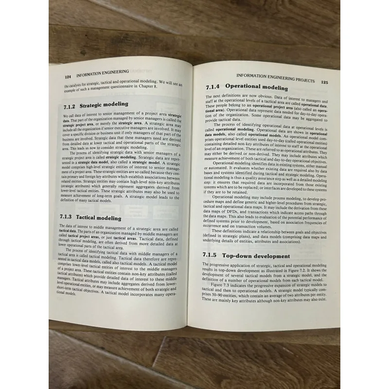 Information Engineering: Strategic Systems Development - Clive Finkelstein 748999