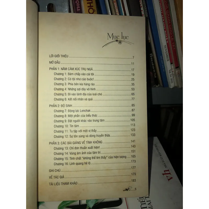 Linh quang hé lộ - Dzigar Kongtrul 728211