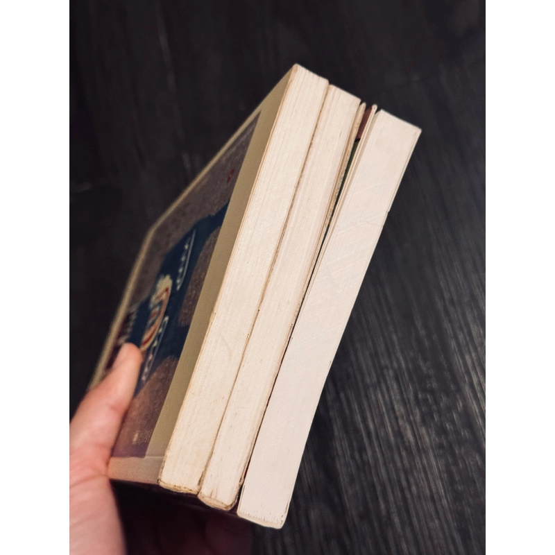Combo 3 tác phẩm Tanizaki Junichiro 489486