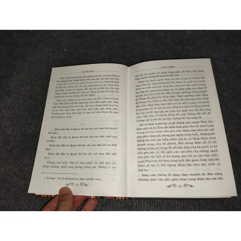 GIÀN THIÊU - VÕ THỊ HẢO 991091