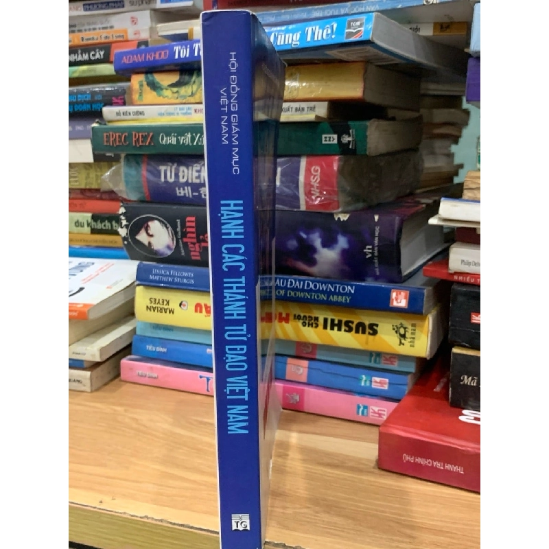 Hạnh các thánh Tử đạo Việt Nam -Hội đồng giám mục Việt Nam 756162